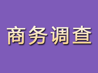 仁怀商务调查